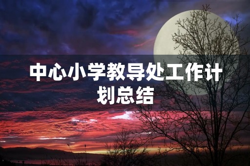 中心小学教导处工作计划总结