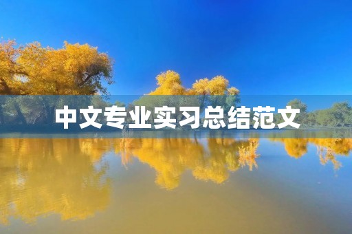 中文专业实习总结范文 中文专业实习总结范文