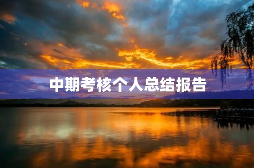 中期考核个人总结报告