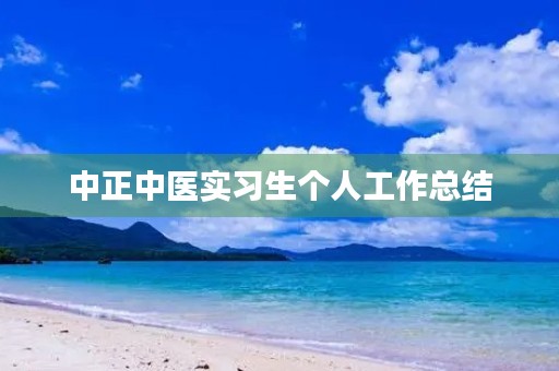 中正中医实习生个人工作总结