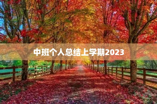 中班个人总结上学期2023