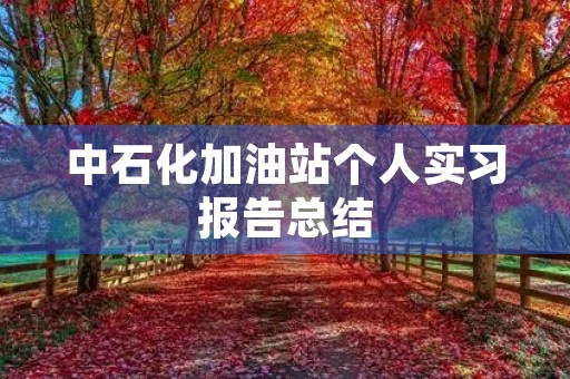 中石化加油站个人实习报告总结