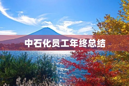 中石化员工年终总结 中石化员工年终总结