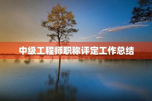中级工程师职称评定工作总结