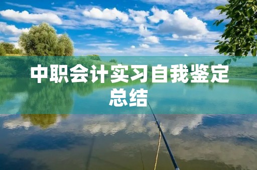 中职会计实习自我鉴定总结 中职会计实习自我鉴定总结