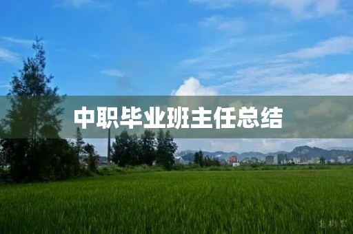 中职毕业班主任总结 中职毕业班主任总结