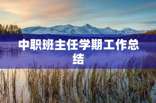 中职班主任学期工作总结