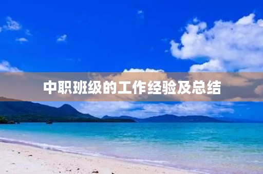 中职班级的工作经验及总结