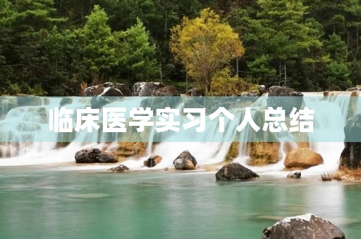 临床医学实习个人总结