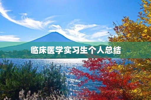 临床医学实习生个人总结