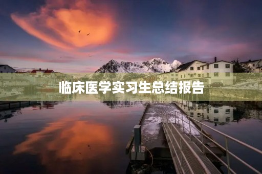 临床医学实习生总结报告