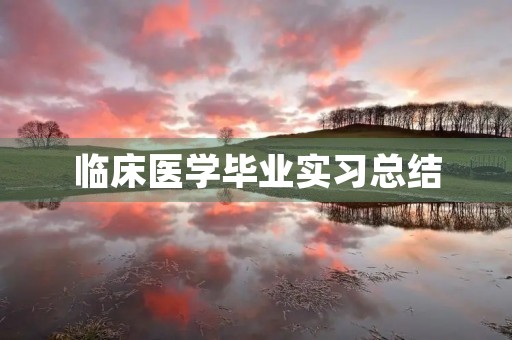 临床医学毕业实习总结（5篇）