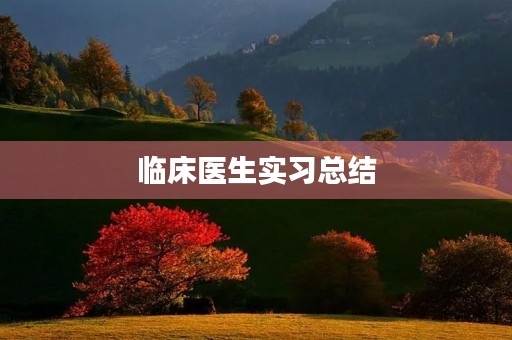 临床医生实习总结
