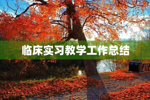 临床实习教学工作总结 临床实习教学工作总结