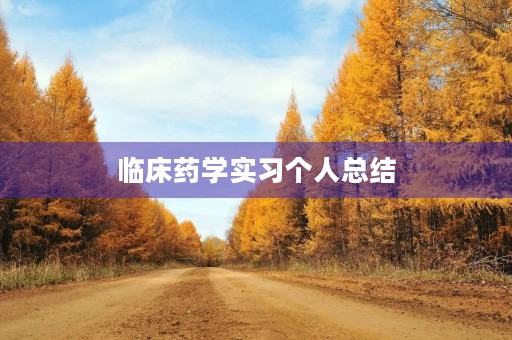 临床药学实习个人总结