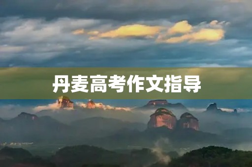 丹麦高考作文指导