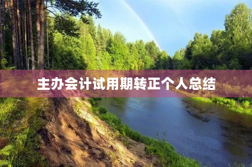 主办会计试用期转正个人总结