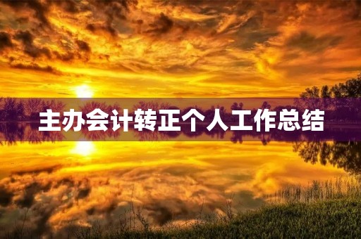 主办会计转正个人工作总结