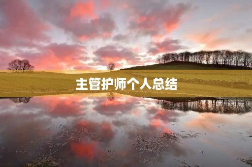 主管护师个人总结