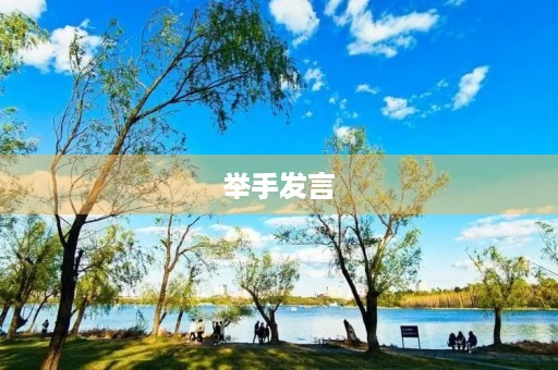 举手发言