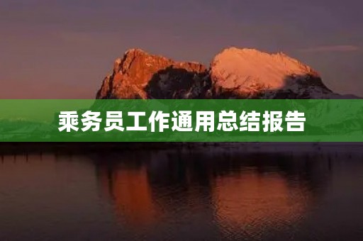 乘务员工作通用总结报告