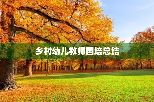 乡村幼儿教师国培总结