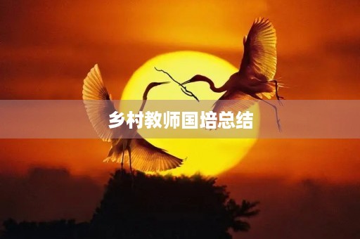 乡村教师国培总结