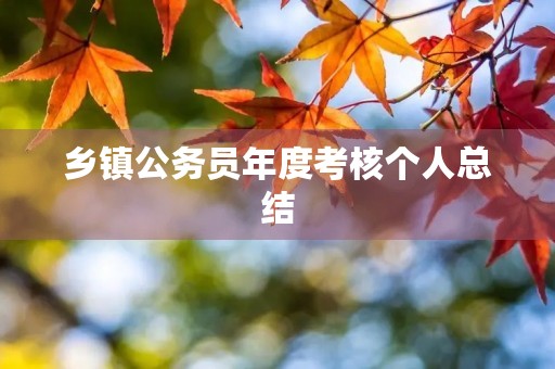 乡镇公务员年度考核个人总结 乡镇公务员年度考核个人总结