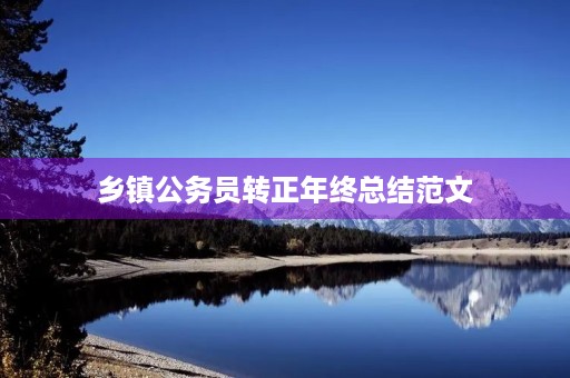 乡镇公务员转正年终总结范文