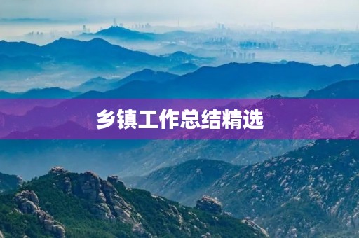 乡镇工作总结精选