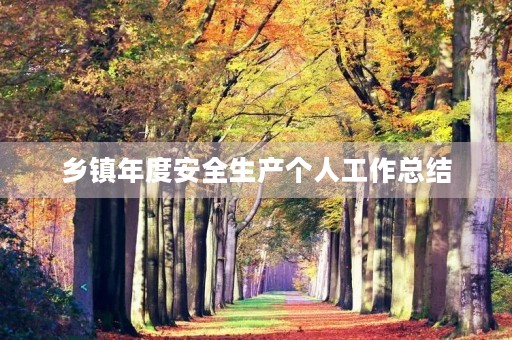 乡镇年度安全生产个人工作总结
