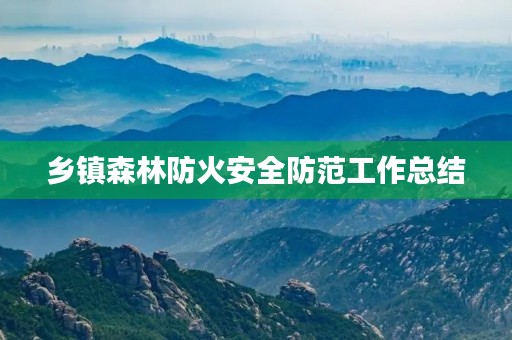 乡镇森林防火安全防范工作总结
