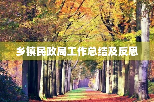 乡镇民政局工作总结及反思