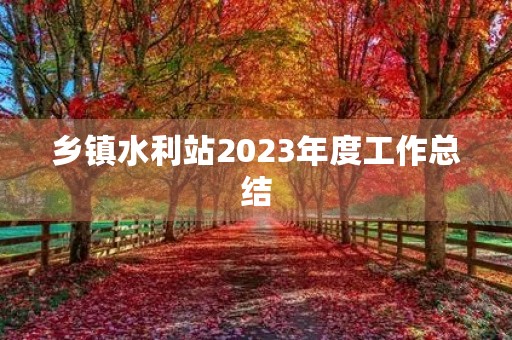 乡镇水利站2023年度工作总结