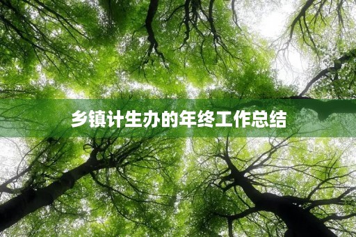 乡镇计生办的年终工作总结