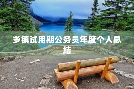 乡镇试用期公务员年度个人总结