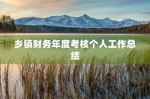 乡镇财务年度考核个人工作总结