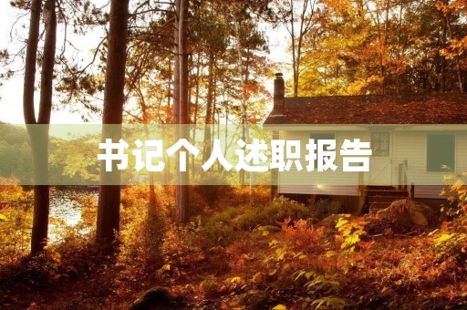 书记个人述职报告