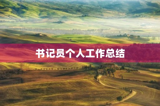 书记员个人工作总结