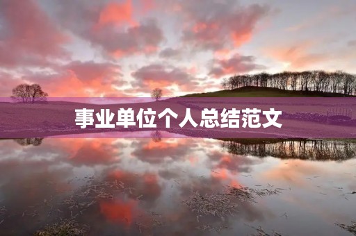 事业单位个人总结范文