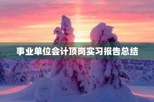 事业单位会计顶岗实习报告总结