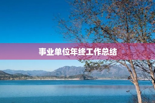 事业单位年终工作总结 事业单位年终工作总结