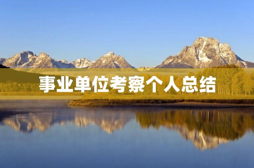 事业单位考察个人总结