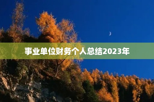 事业单位财务个人总结2023年