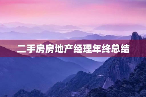 二手房房地产经理年终总结