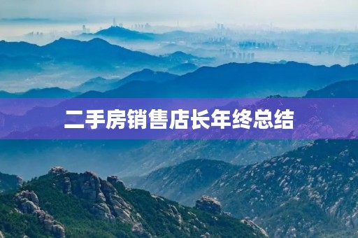 二手房销售店长年终总结