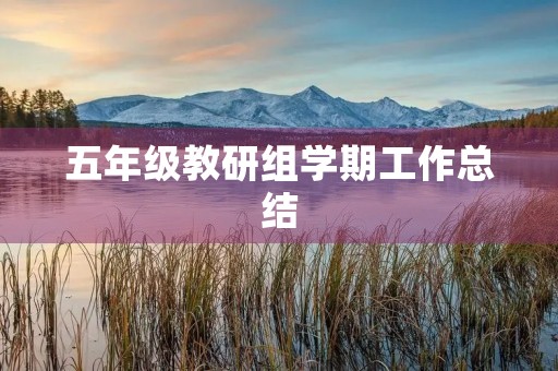 五年级教研组学期工作总结
