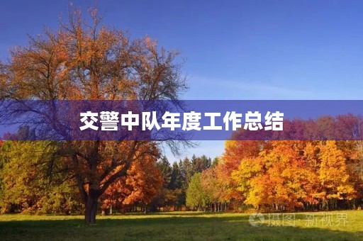 交警中队年度工作总结