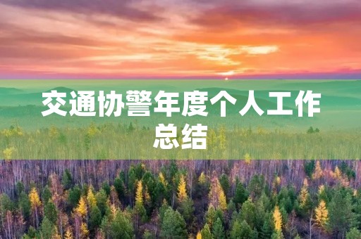 交通协警年度个人工作总结
