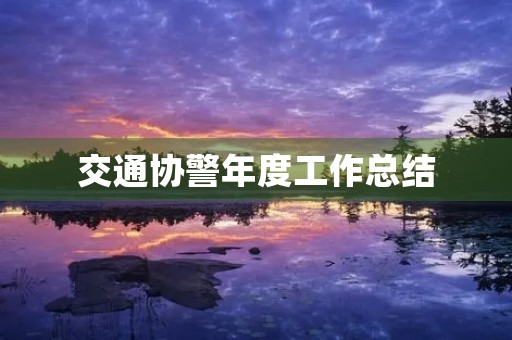 交通协警年度工作总结